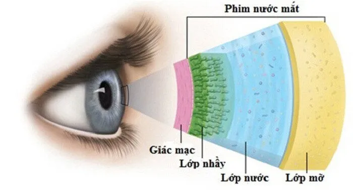 Bệnh Khô Mắt – 2 Nguyên Nhân Chính? Cách điều trị Tốt Nhất!